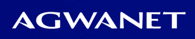 Agwanet — Agency SEO Workflow logo